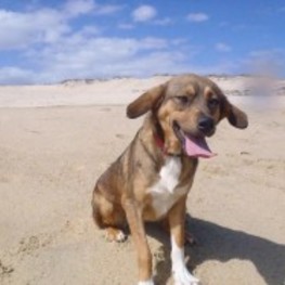 D 8e601c90 de18 4942 a475 fd8ae026a55a