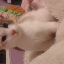 D 9759eea1 4e1f 4994 aa73 1b38609fd3dd