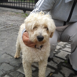 D 5229ff17 972b 453c 9a48 eff1ce9135b4