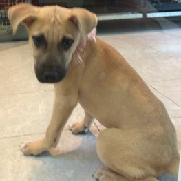 D 7946aa4a bd73 48c6 9f4d e210569f97f1