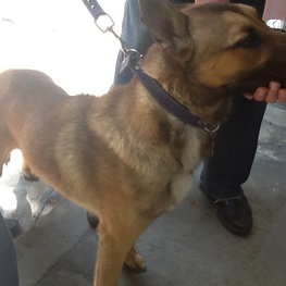 D c43ecb3d 3055 42f3 a211 8dda80746d4a