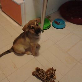 D 59c93104 9015 4160 9fc8 b24f1bdcd8c2