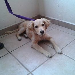 D 81dc64b9 d370 4026 9bf8 02290e0f43b8