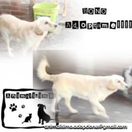 D 4a42e740 792b 431f 8669 5f916c70d71c