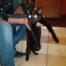 D ca08b85a 58d7 4abb b6fa e7bf5956b48c