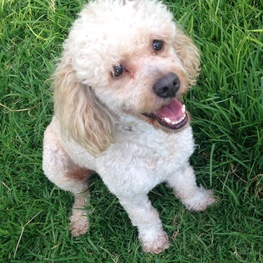 D cbae124f 9beb 454f b510 1e2b51a3a14f