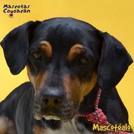 D 93731b89 5c94 4fd5 9083 88908fd22809