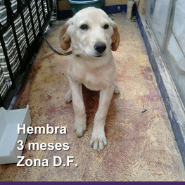 D 45d267b8 8b53 437d 86f5 644a5ae04166