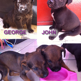 D d5b72411 5287 400b 9483 85da2af1732f