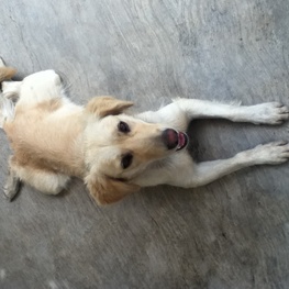 D dbbb3519 e207 4308 8a15 75c0defb247b