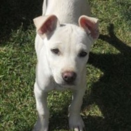 D d7ca5a36 b7cf 4d36 a7f6 6f9144b6875c