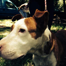 D dda3e13a 5d89 4324 8f05 2f60e73a33fb