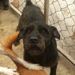 D 8bb80cec 8fc5 4f1d 9d96 151e9633dbd2