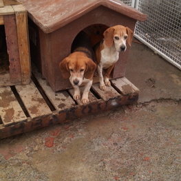 D 373ff8fc 6aa6 466b 902b 3b3b08acaa0a