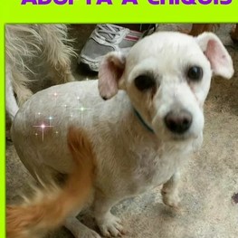 D fdb34a5b c04c 412e 813e 496e091c1b27