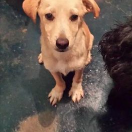 D 9445d89e 52c2 40f8 bc10 f23b1491859d