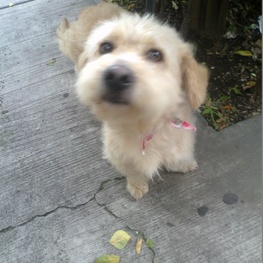 D d6422aa1 5c15 4f87 87e3 6074899ef3ce