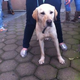 D cdd17fc9 3191 40c1 b680 2d038d423f92