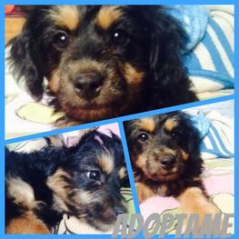 D ed6e378e d727 4493 bff2 dc9609fc0eab