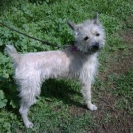 D 18820b3d 8bba 4f54 b933 27e343fb9ef6