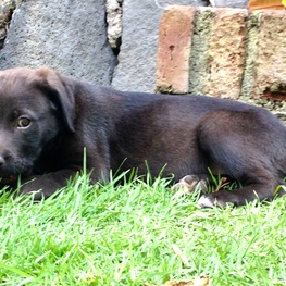 D 32f2e717 208b 4b6d 9ef1 88082cfa5efe