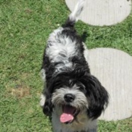 D 2b9f4ba2 b1fa 45fc 978e d859691dee6a