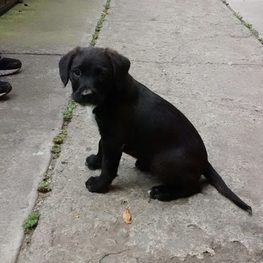 D 4b1f8175 f35d 4bb2 bb77 e5def87e3b98