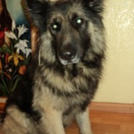 D 00dbabb5 fa76 4e90 b556 4d568086b7d3