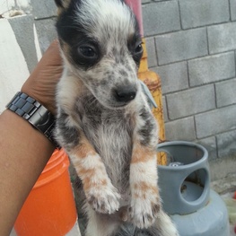 D 78483494 89a7 4bd2 a0cf d2212cb5fa4d