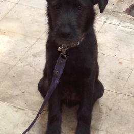 D 6597fae6 fa80 4379 ad75 5d19baa0d877