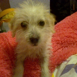 D e66e9c5a 1fb5 49d6 a4f8 5683df1d2837