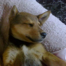 D 000e55c9 b22f 4cd9 a1ee b231c51ed9df