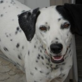 D 76b40bc0 9eef 4fa6 aabb 1106366878b1