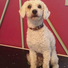 D bad5d978 5838 4596 8ee8 5fd5f2f91694