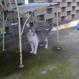 D a8add451 4b50 41cf a028 b449e5e5d79f