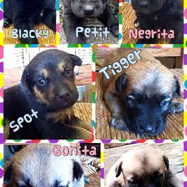 D d716777e 534a 4eee 8694 afea94153735