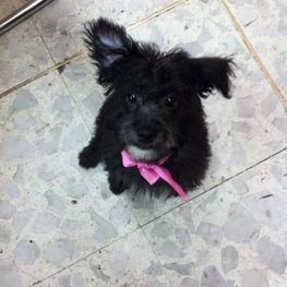 D 58a2790b c4b0 4386 a330 8f24bd59e5ce