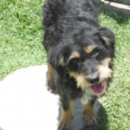 D be869ea2 eb2c 4bae 98d0 75afbec90235