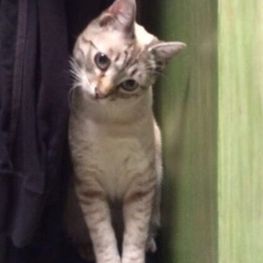 D ec81ad06 12e7 4652 b302 f15893d3378a