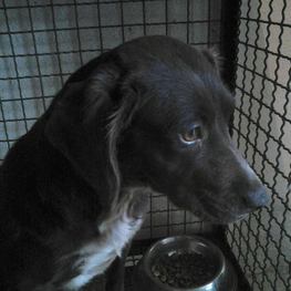 D 03b92104 1bb3 482f 86ba 7c07e03db10f