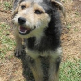 D dbde812e a8bc 43bb b91d a6288cc6a0d0