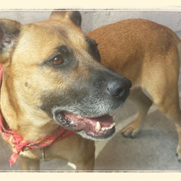 D 85eb0ed2 f081 4eb2 837a aca20547da52