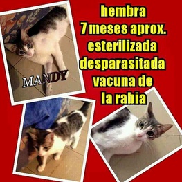 D 67a8776b 1efd 4861 b883 7823beb55ec8