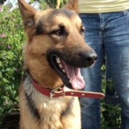 D 8cafa5d8 ae3a 4603 b7b7 402f1a767849