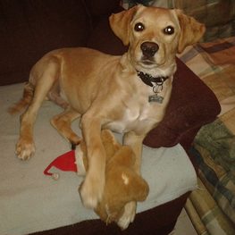 D ee33442a 5502 4cf5 acc4 597b133ccdda