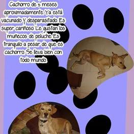 D cf4fe68a 9281 475e a41c 9d6defe68a59