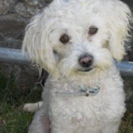 D 8cad305f b7f2 4762 b865 9dfc034924f2