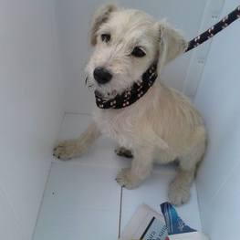 D 326cdbf4 a5d6 4491 8a40 51047560f264