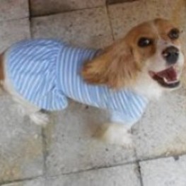 D 2f9ce7bd 3bab 4d44 bc4c a9ca587ba26f