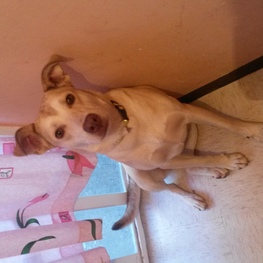 D 9acc1150 e1c7 4f86 88b1 8c5e9de53030